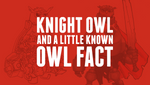 Knight Owl and a little known OWL FACT